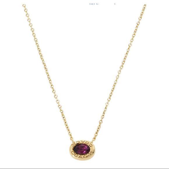 Coach Jewelry - Coach gold tone signature logo brown stone necklace